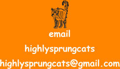 email highlysprungcats highlysprungcats@gmail.com